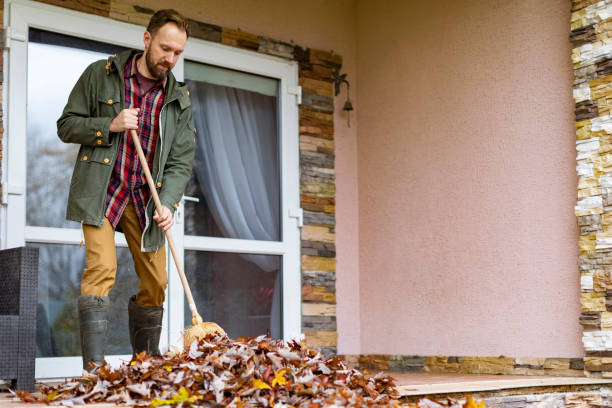 Best Yard Cleanup Services  in Vineland, NJ